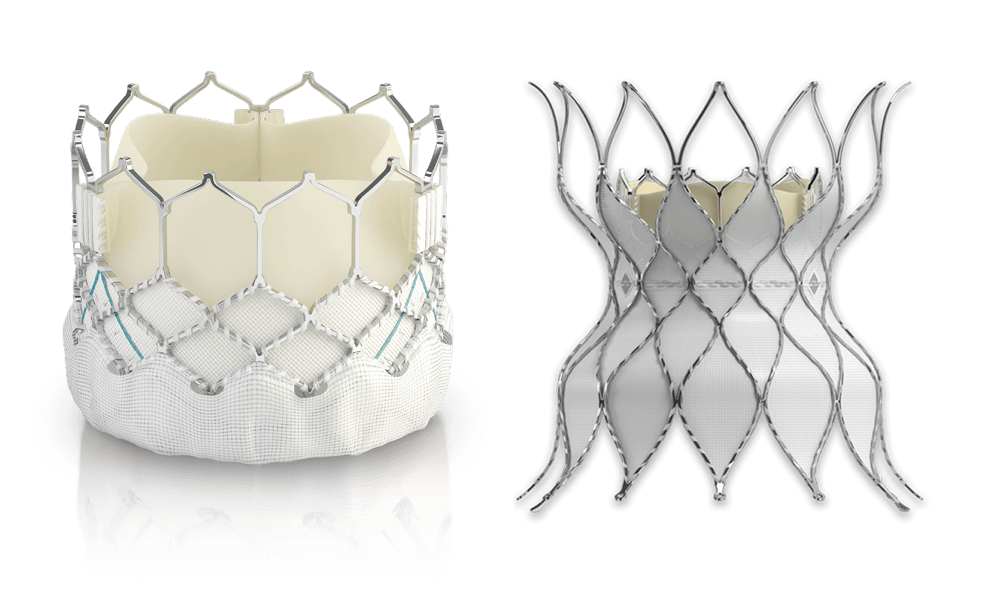 Transcatheter pulmonary valve replacement | Edwards Lifesciences
